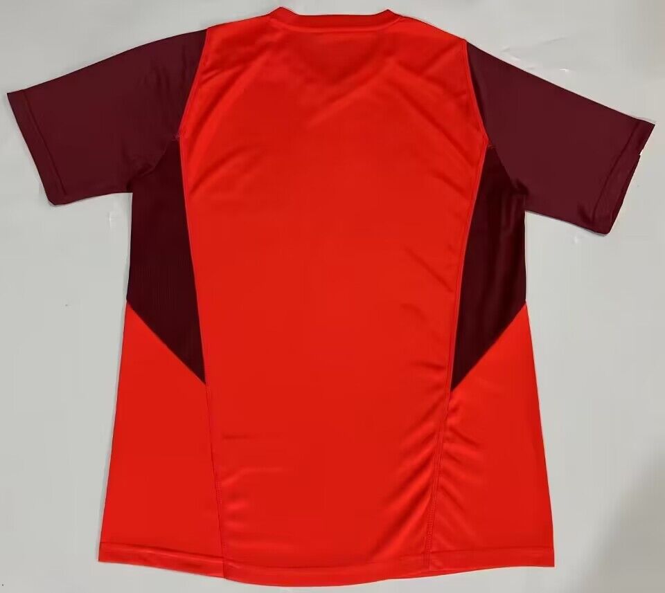 INTERNACIONAL 2024 2025 BACK